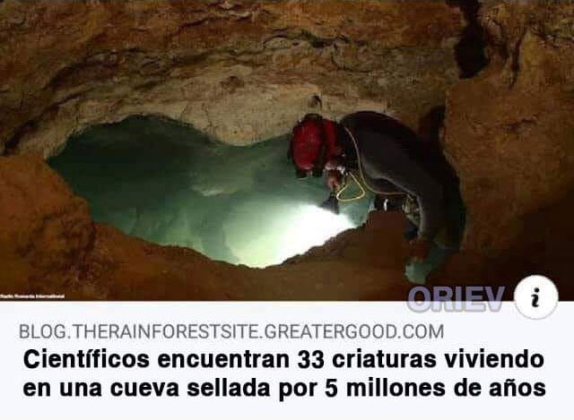 Científicos encuentran 33 criaturas viviendo en una cueva sellada por 5 millones de años