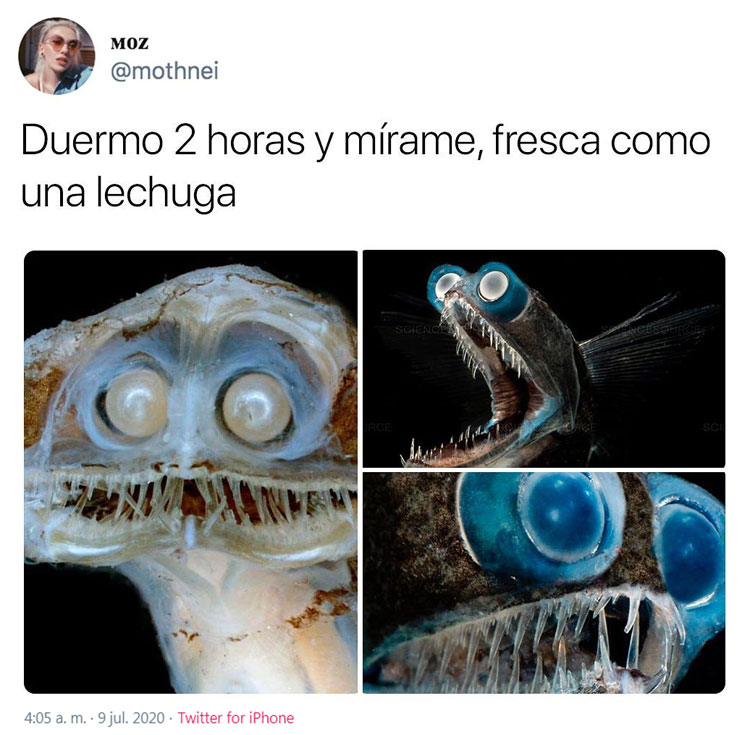 Duermo 2 horas y mírame, fresca como una lechuga