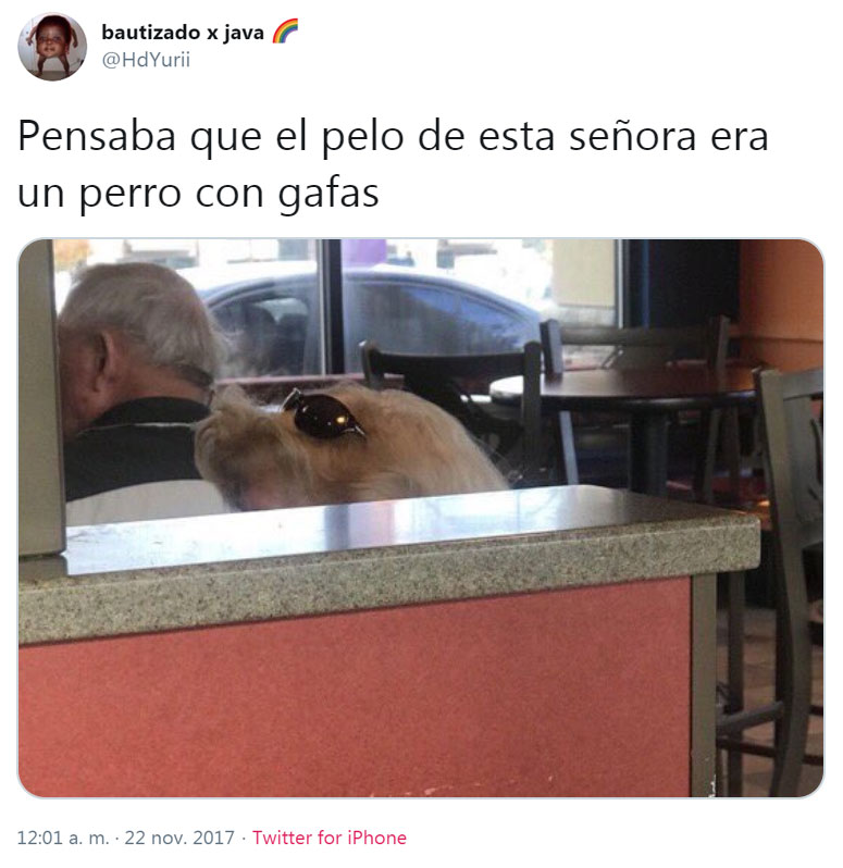 Pensaba que el pelo de esta señora era un perro con gafas