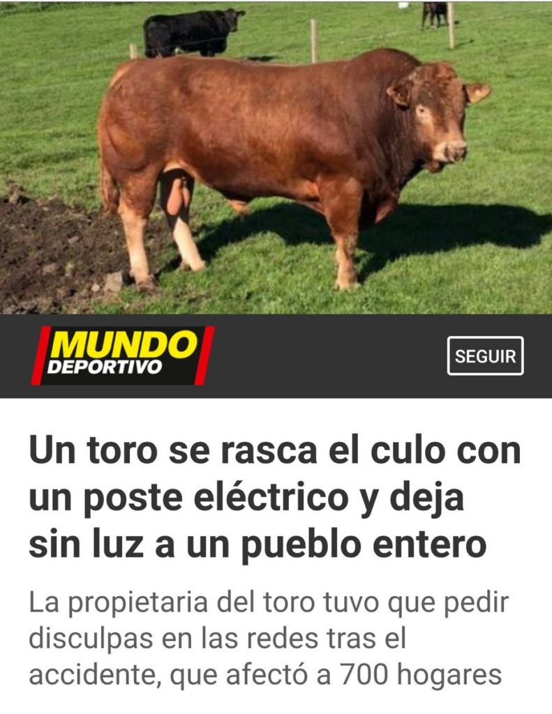 Un toro se rasca con un poste eléctrico y deja sin luz a un pueblo entero