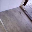La peculiar manera que tiene este perro de bajar las escaleras