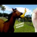 elrellano.com-techno-horse-x-the-kiffness-522711