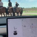 El Tesla no ha visto un caballo en su vida