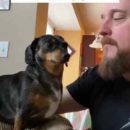 La reacción de mi perro tras darle un beso
