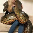 elrellano.com-te-atreverias-a-que-esta-preciosa-anaconda-te-abrazara-832214