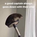“Un buen capitán siempre se hunde con su barco”