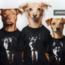 Perros-con-chaqueta-elrellano