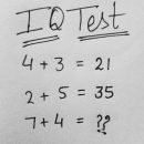 iq test