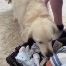 Videos-de-humor-00001